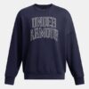 Camiseta oversize Icon Heavyweight Terry