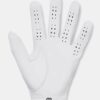 Guantes Drive Tour Guantes Drive Tour