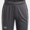 Pantalones cortos Challenger Train Pantalones cortos Challenger Train