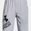 Pantalones cortos Prototype 2.0 Logo