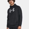 Sudadera con capucha Armour Fleece® Big Logo