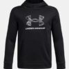 Sudadera con capucha Armour Fleece® Big Logo