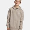 Sudadera con capucha Icon Fleece