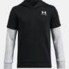 Sudadera con capucha Icon Fleece Jersey
