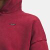 Sudadera con capucha oversize Icon Heavyweight Fleece