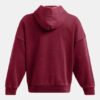 Sudadera con capucha oversize Icon Heavyweight Fleece Wash