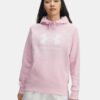 Sudadera con capucha Rival Fleece Big Logo Sudadera con capucha Rival Fleece Big Logo