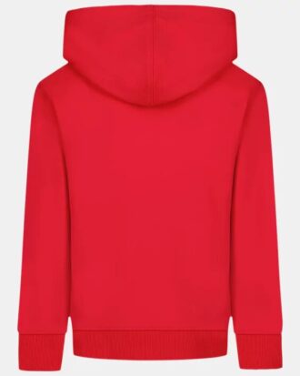 Sudadera con capucha Rival Fleece Print Fill