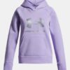 Sudadera con capucha Rival Fleece Shimmer Sudadera con capucha Rival Fleece Shimmer