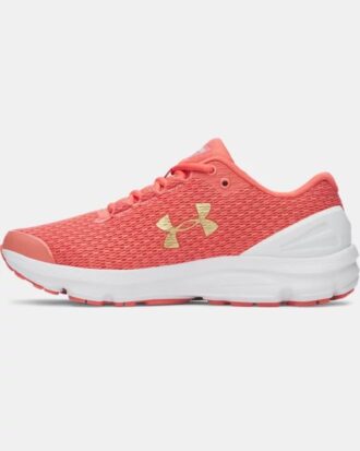Zapatillas de running Charged Gemini